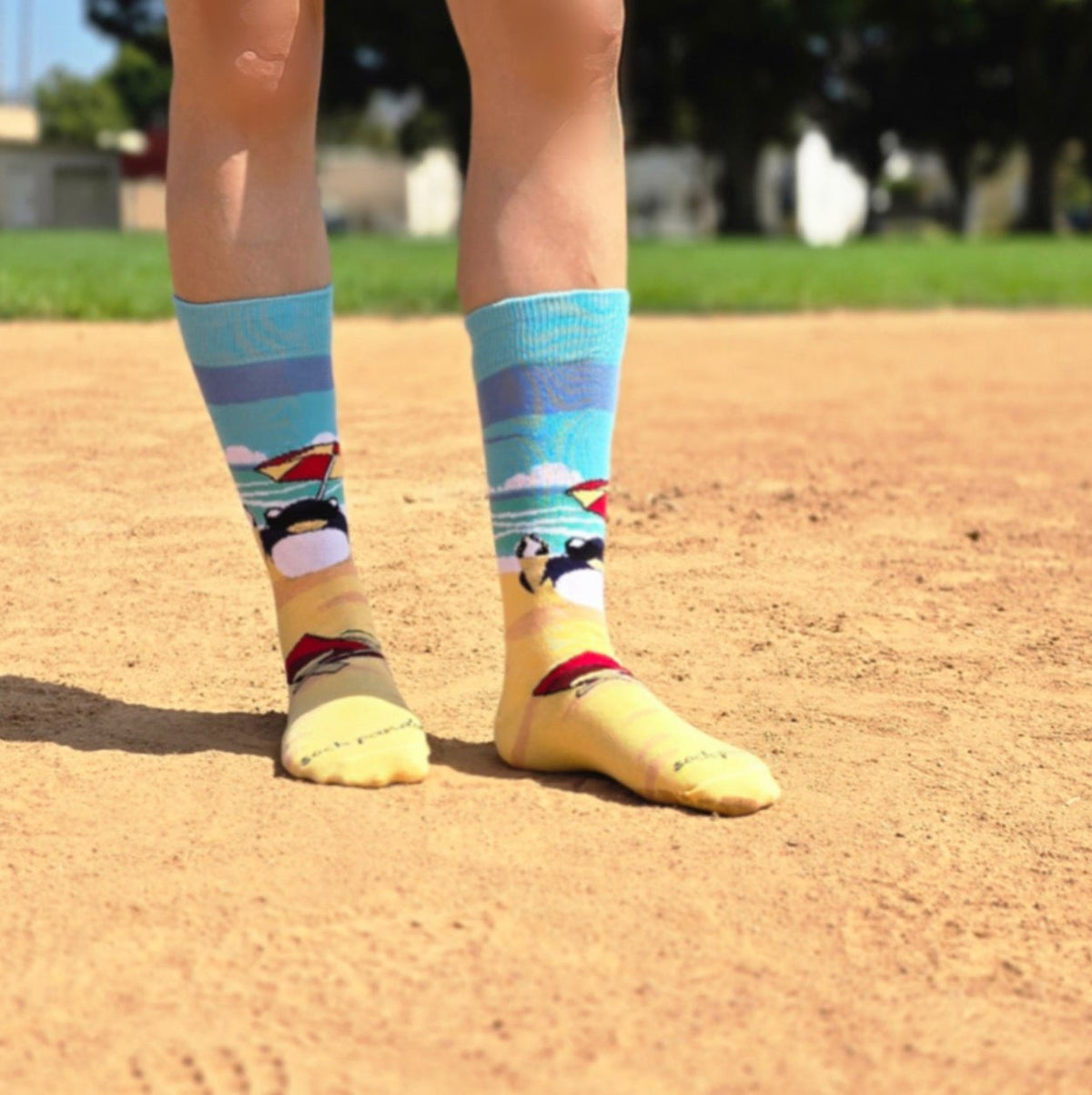 Beach Penguin Socks from the Sock Panda (Adult Medium - Women's Shoe Sizes 5-10), BeachPenguinMd