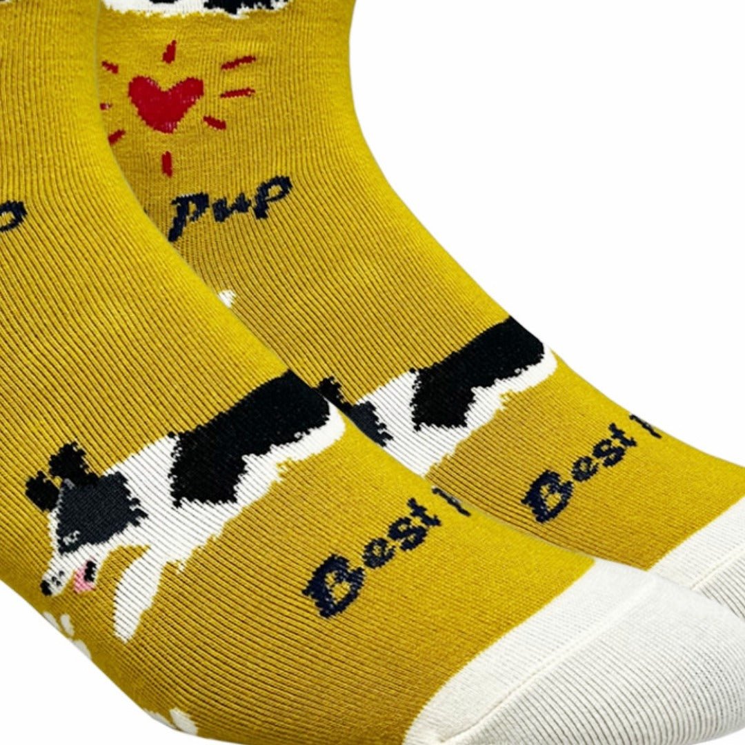 Border Collie Dog Socks (Adult Medium - Women's Shoe Sizes 5 - 10)