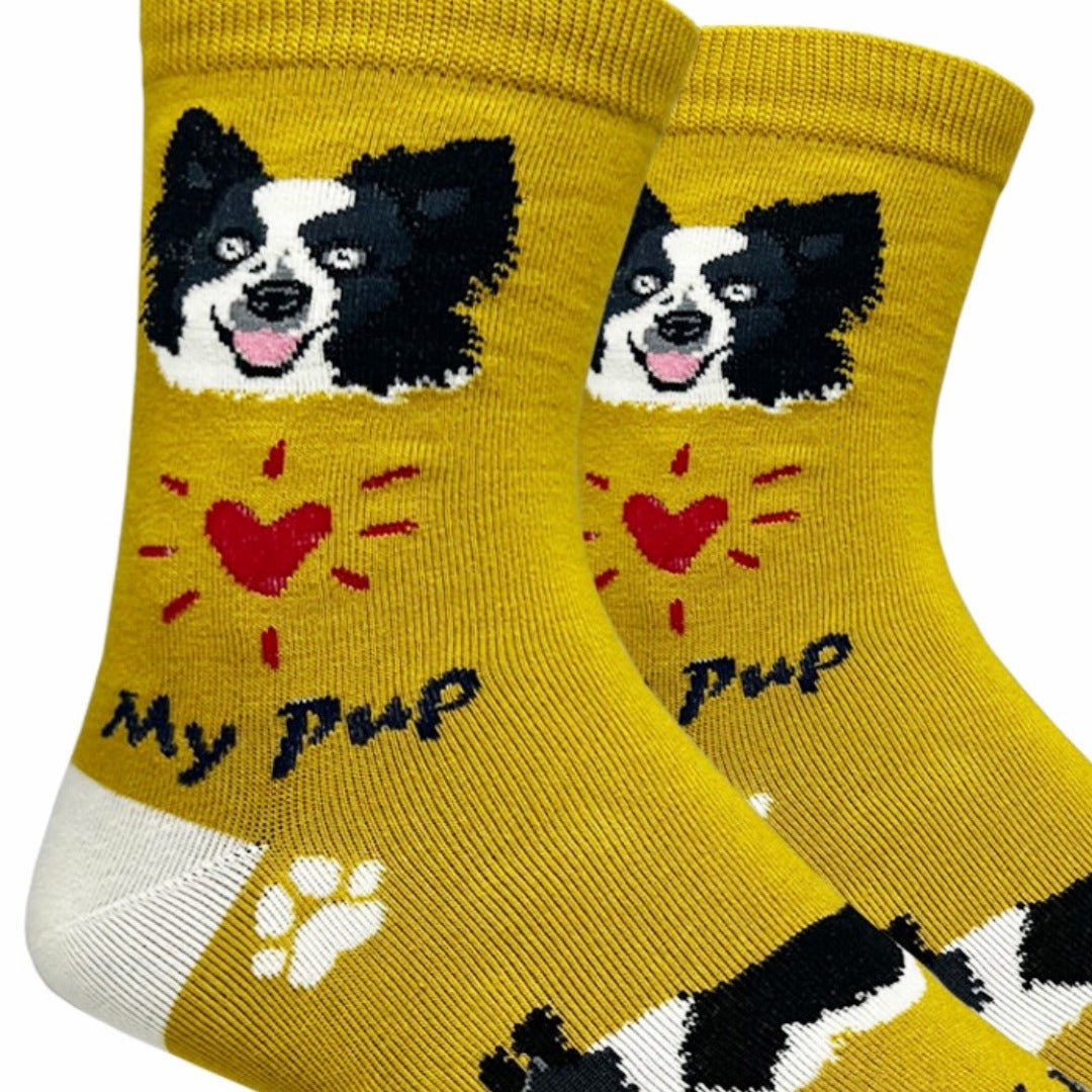 Border Collie Dog Socks (Adult Medium - Women's Shoe Sizes 5-10), NVW010-Border