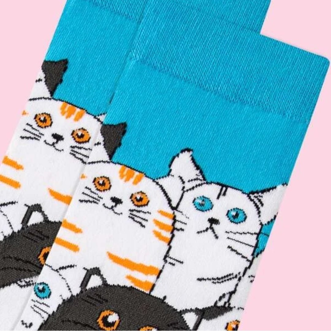 Cat Socks from the Sock Panda (Adult Medium - Women's Shoe Sizes 5-10), CartoonCatMd