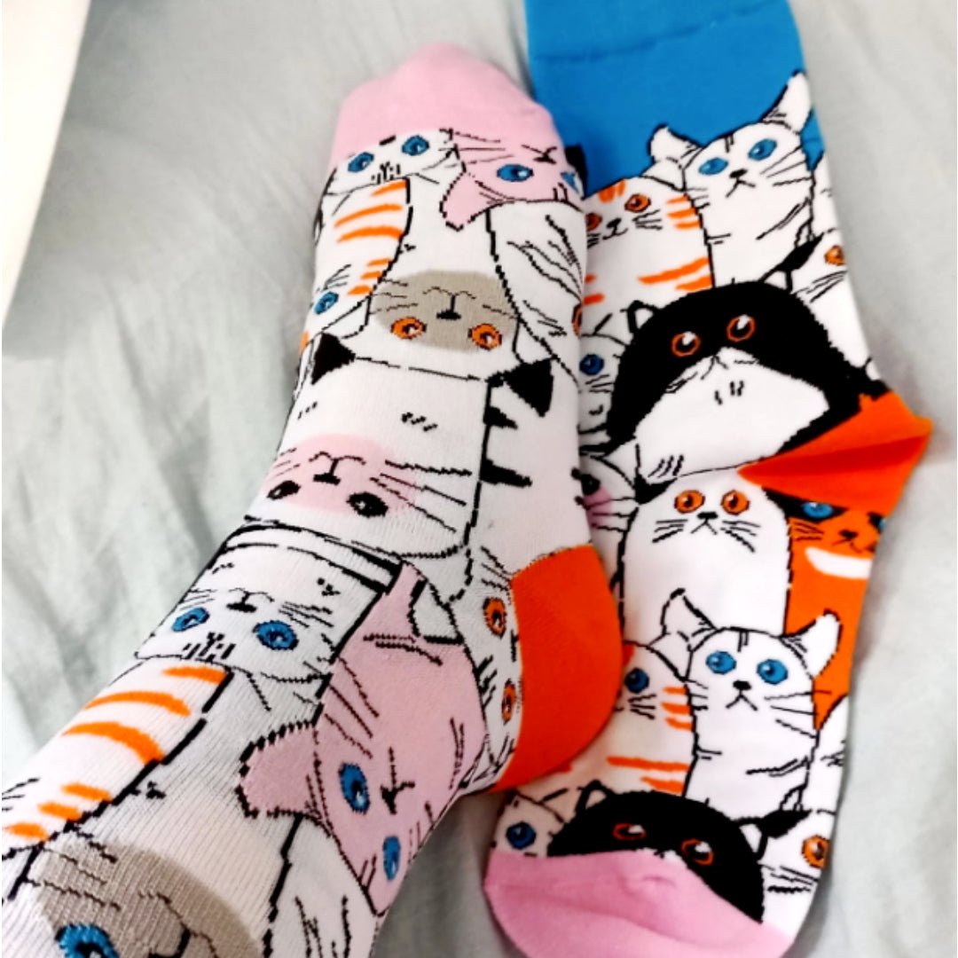 Cat Socks from the Sock Panda (Adult Medium - Women's Shoe Sizes 5-10), CartoonCatMd
