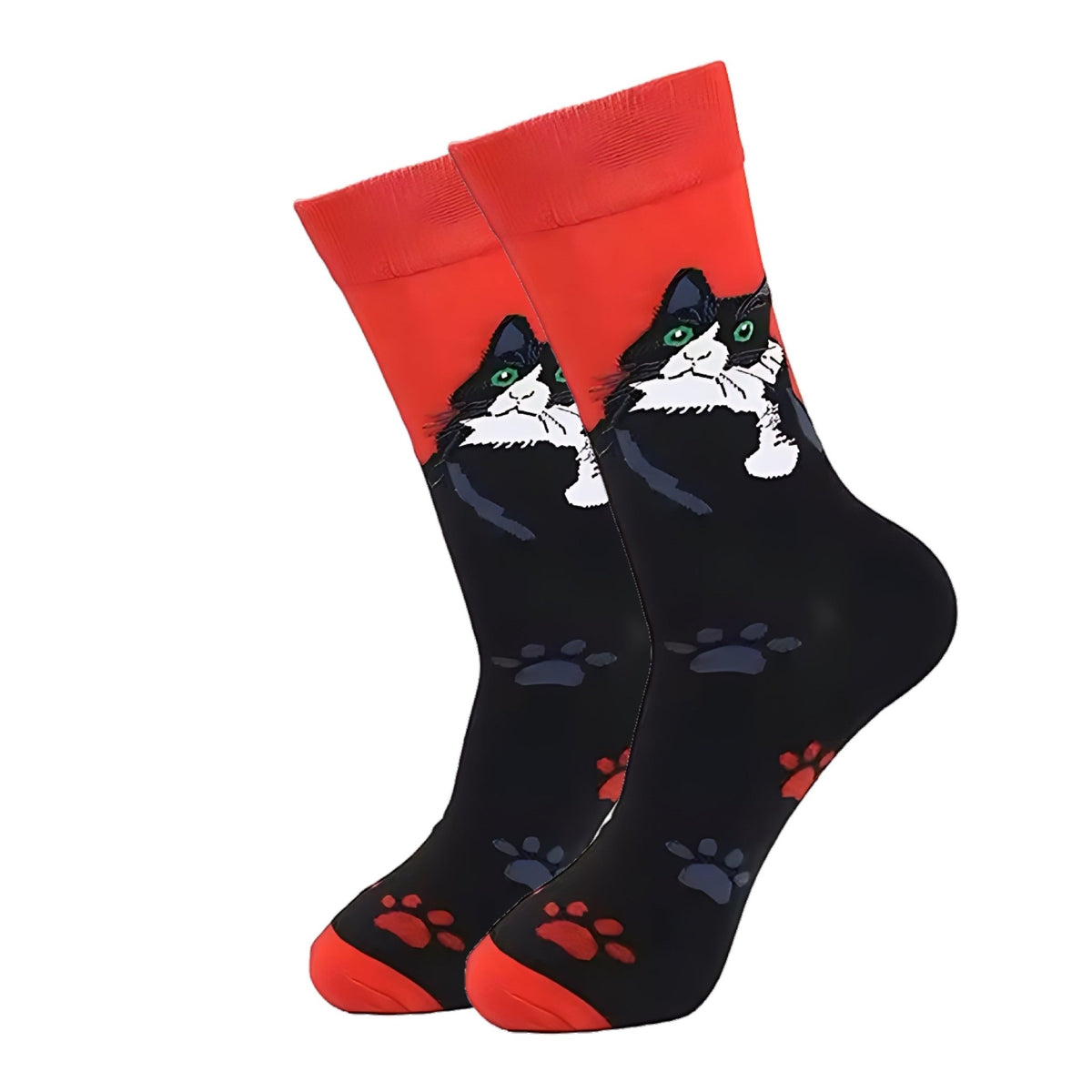 Cool Cat Socks from the Sock Panda (Adult Medium - Women's Shoe Sizes 5-10), CoolCatLg