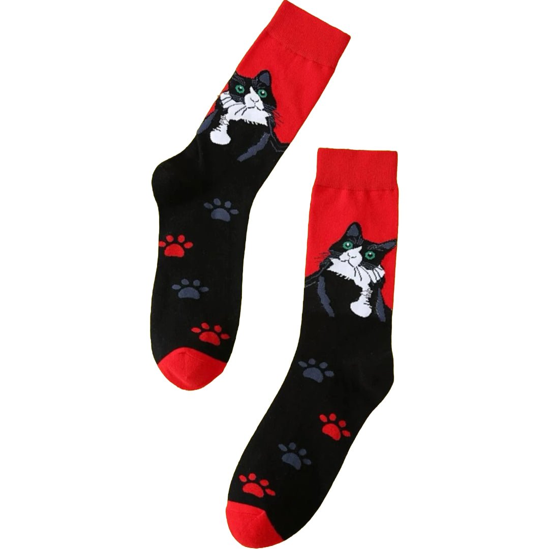 Cool Cat Socks from the Sock Panda (Adult Medium - Women's Shoe Sizes 5-10), CoolCatLg