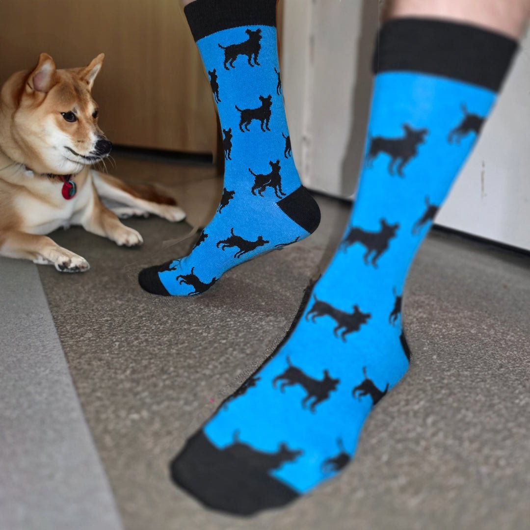 Dog Pattern Socks from the Sock Panda (Adult Large - Men's Shoe Sizes 8-12), BlueDogPattLg