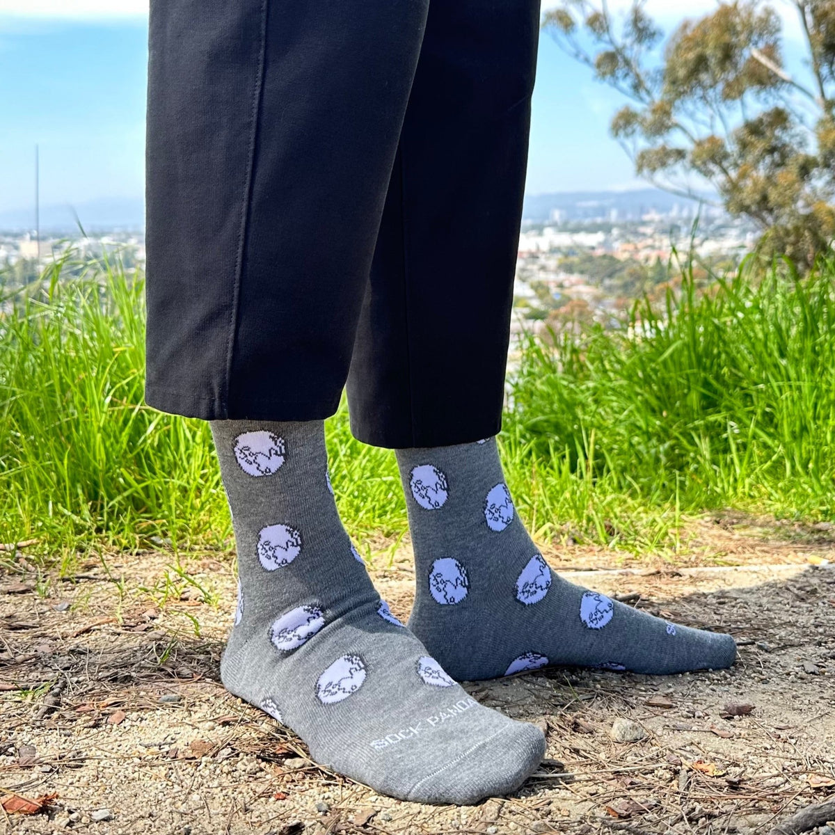 Earth Pattern Socks from the Sock Panda (Adult Large - Men's Shoe Sizes 8-12), EarthPatternLg
