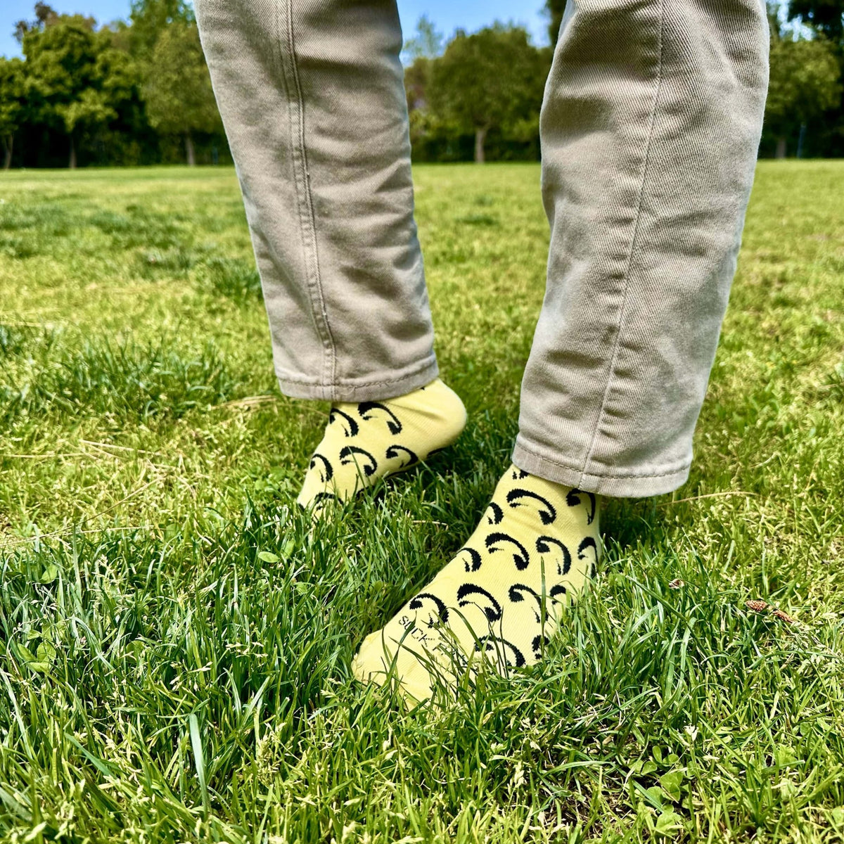 Hidden Eagle Pattern Socks from the Sock Panda (Adult Large), HiddenEagleLg