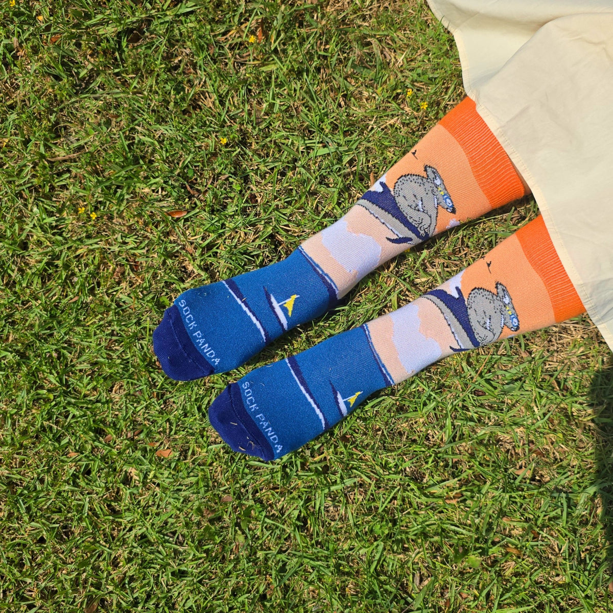 Koala Riding a Dolphin Socks from the Sock Panda (Adult Small - Shoe Sizes 2-5), Koala-Dolphin-TW