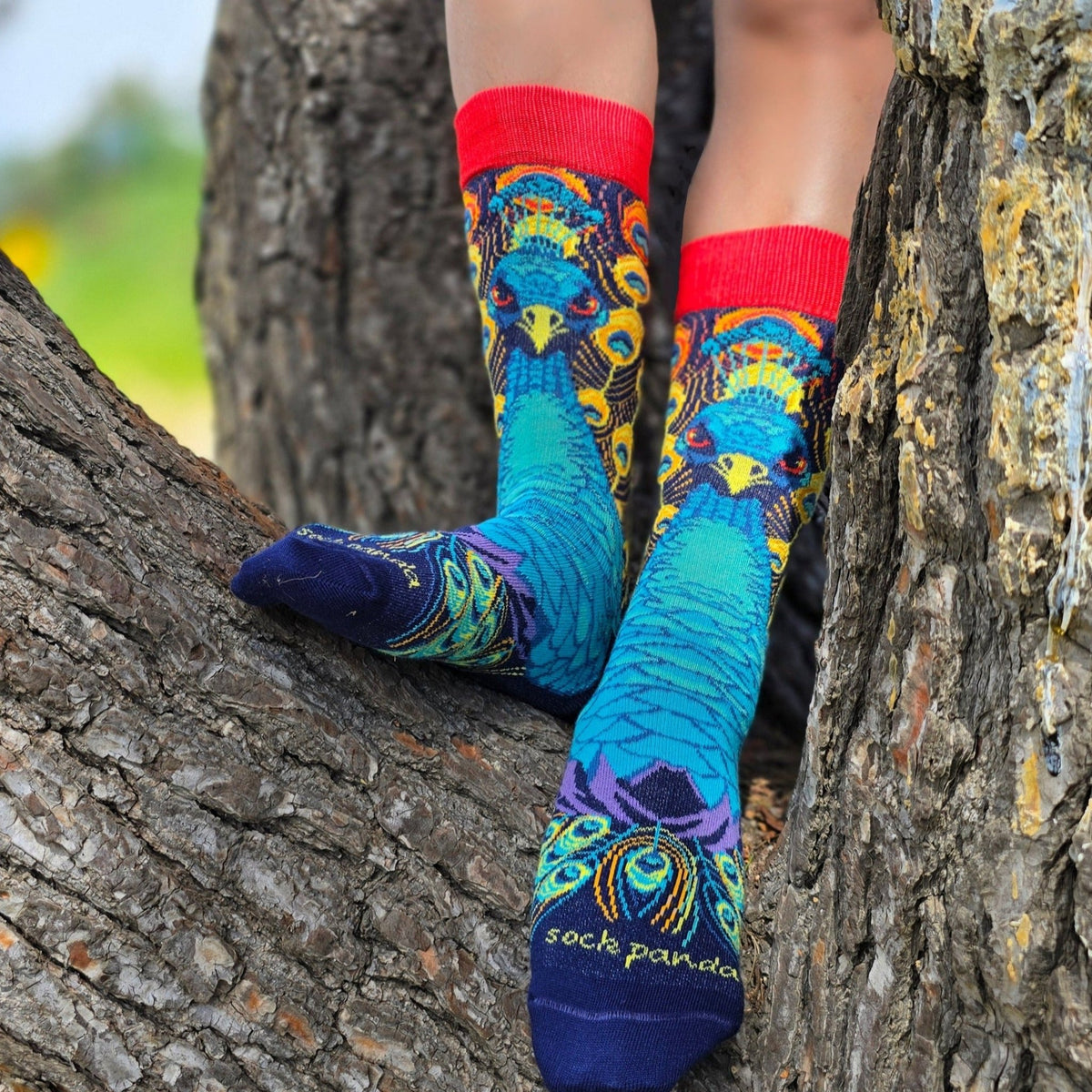 Magnificent Peacock Socks from the Sock Panda (Adult Medium - Women's Shoe Sizes 5-10), PeacockColorMd