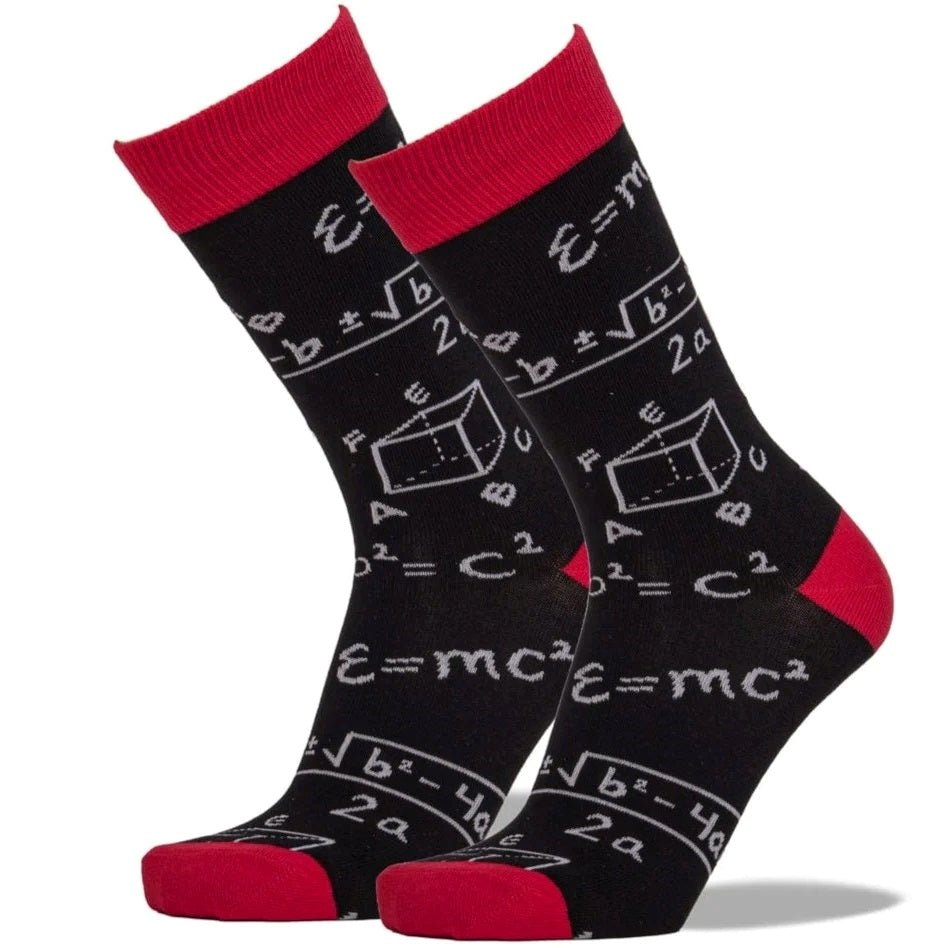Math Socks from the Sock Panda (Adult Large - Men's Shoe Sizes 8-12), MathLg