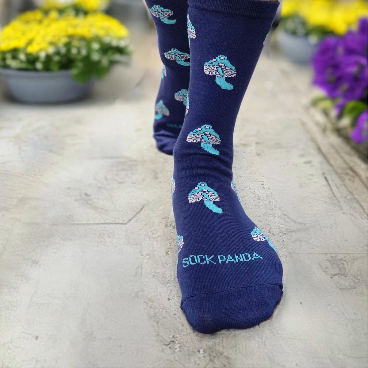 Mushroom Pattern Socks from the Sock Panda (Adult Medium - Women's Shoe Sizes 5-10), Mushroom2Md