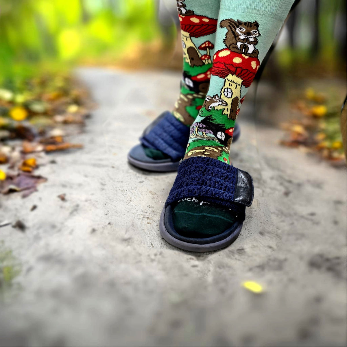 Mushroom Squirrel Home Socks from the Sock Panda (Adult Medium - Women's Shoe Sizes 5-10), MushSquirrelMd