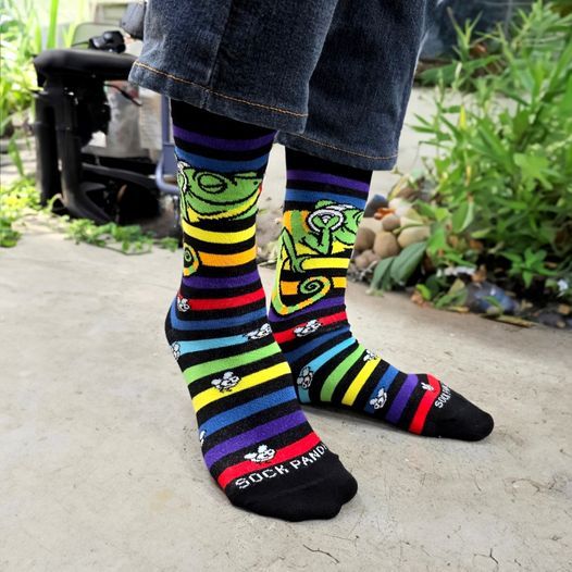 Musical Chameleon Socks from the Sock Panda (Adult Small - Shoe Sizes 2-5), ChameleonSm