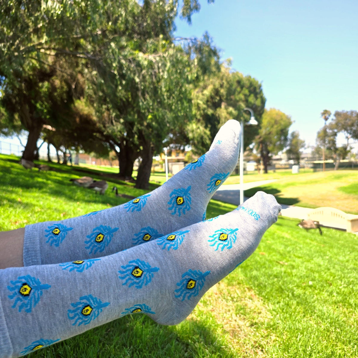 Peacock Feather Pattern Socks from the Sock Panda (Adult Medium - Women's Shoe Sizes 5-10), PeacockfeathMd