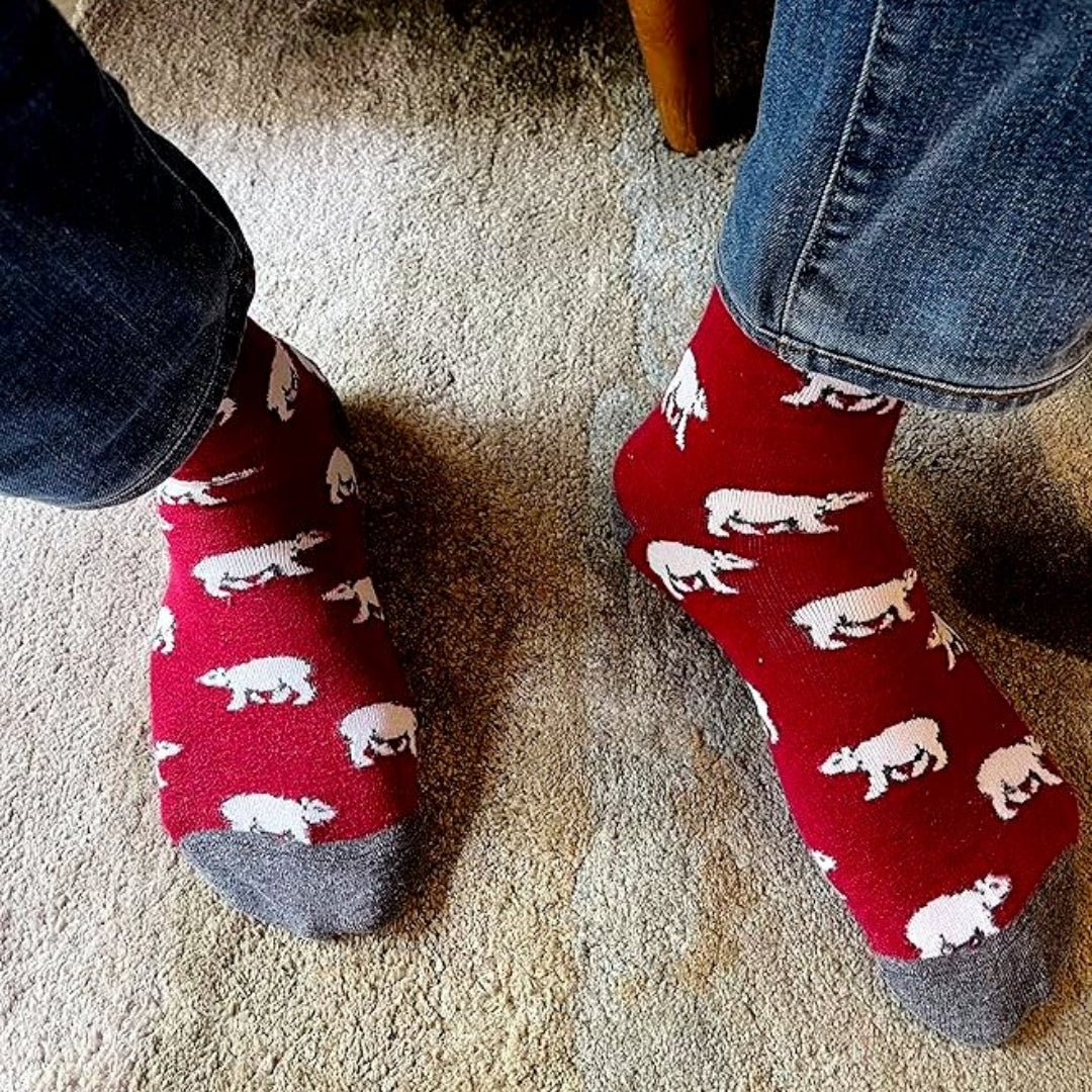 Polar Bear Pattern Socks the Sock Panda (Adult Large - Men's Shoe Sizes 8-12), MaroonPolarLg