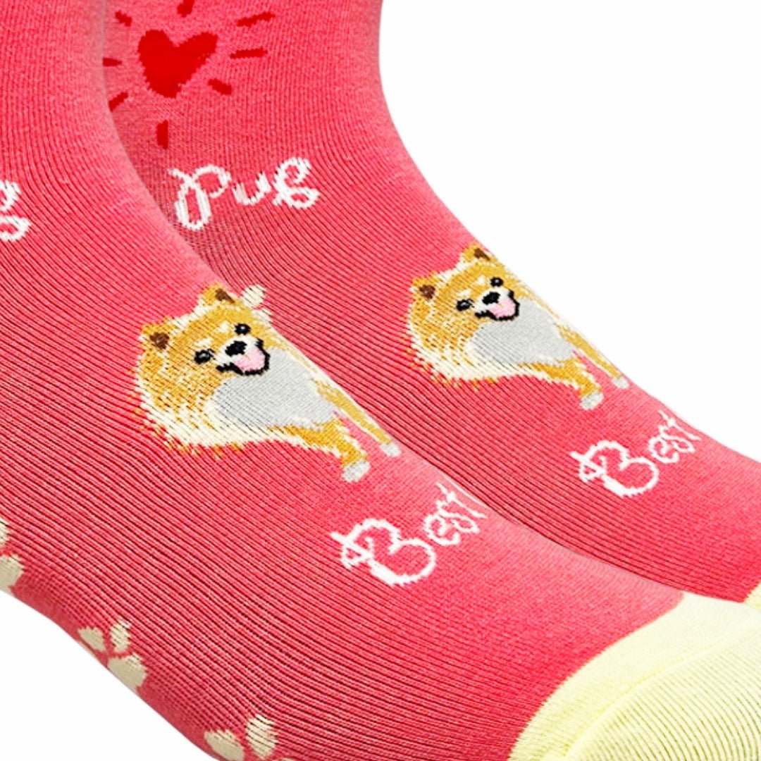 Pomeranian Dog Socks (Adult Medium - Women's Shoe Sizes 5 - 10)