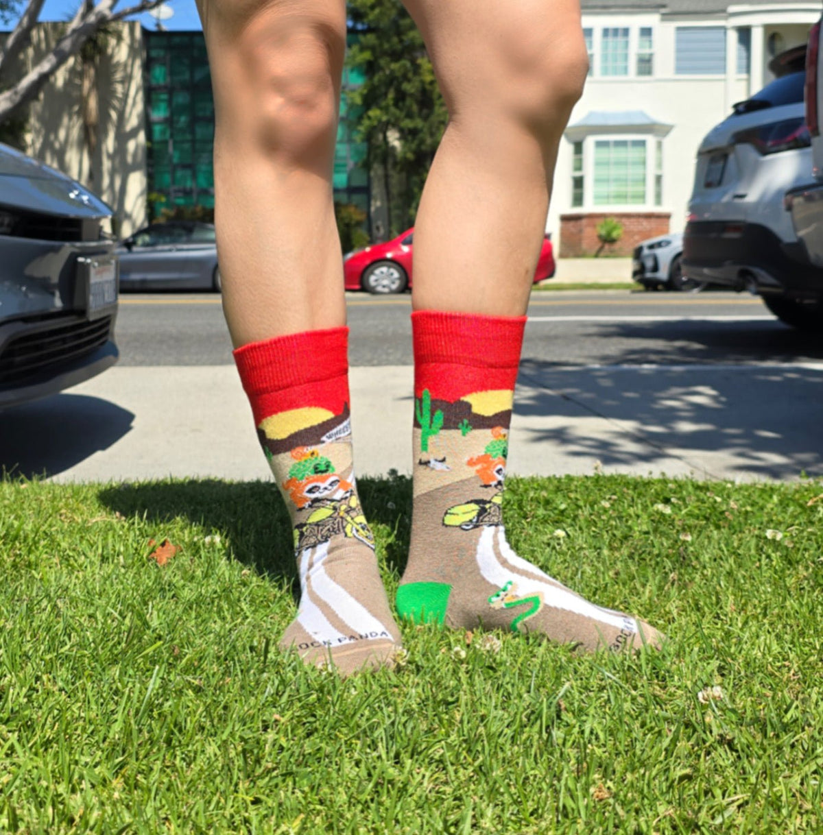 Slow Animals on a Motorcycle Socks from the Sock Panda (Adult Small - Shoe Sizes 2-5), SlowAnimalSm