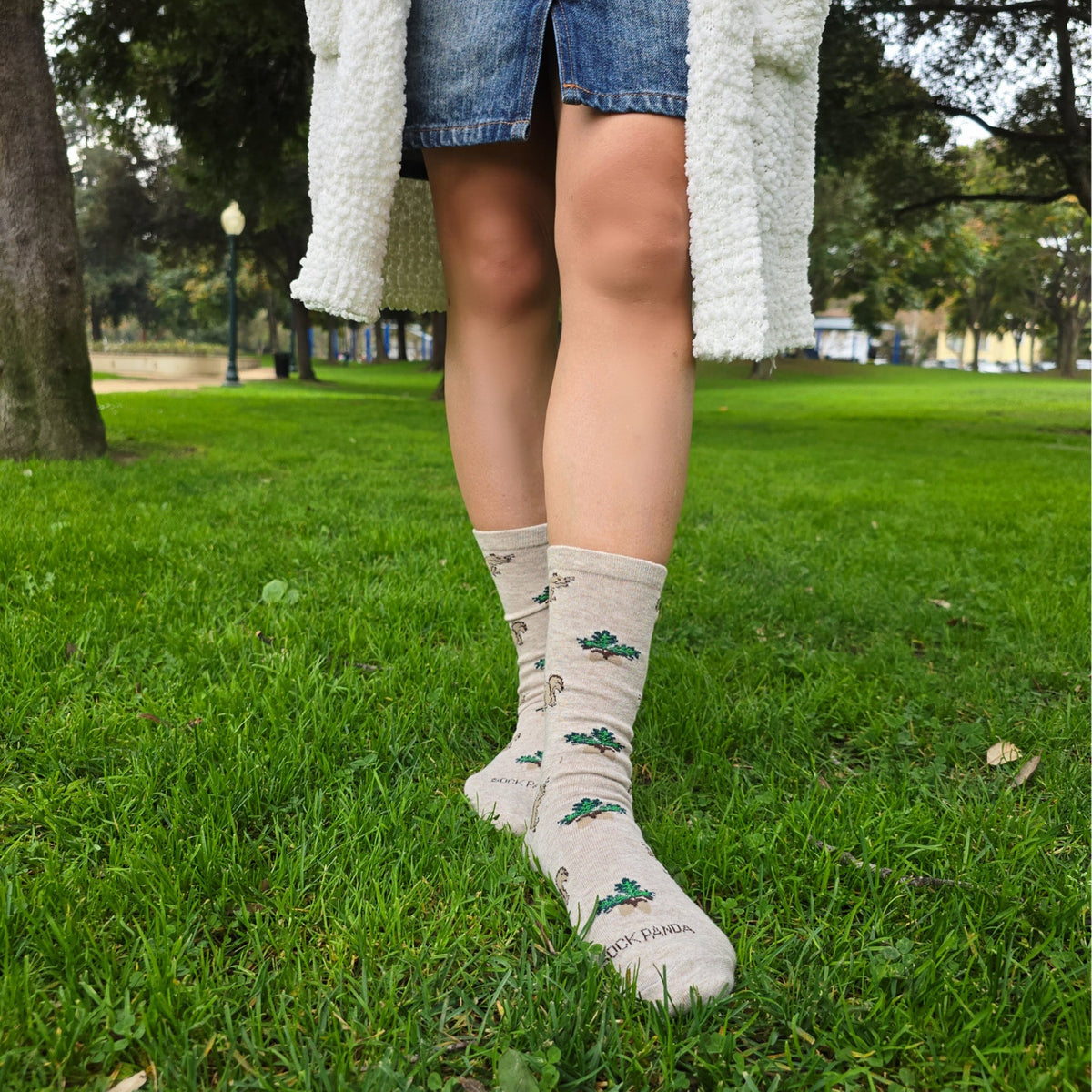 Squirrel with Nut Socks from the Sock Panda (Adult Medium), SquirrelNutMd