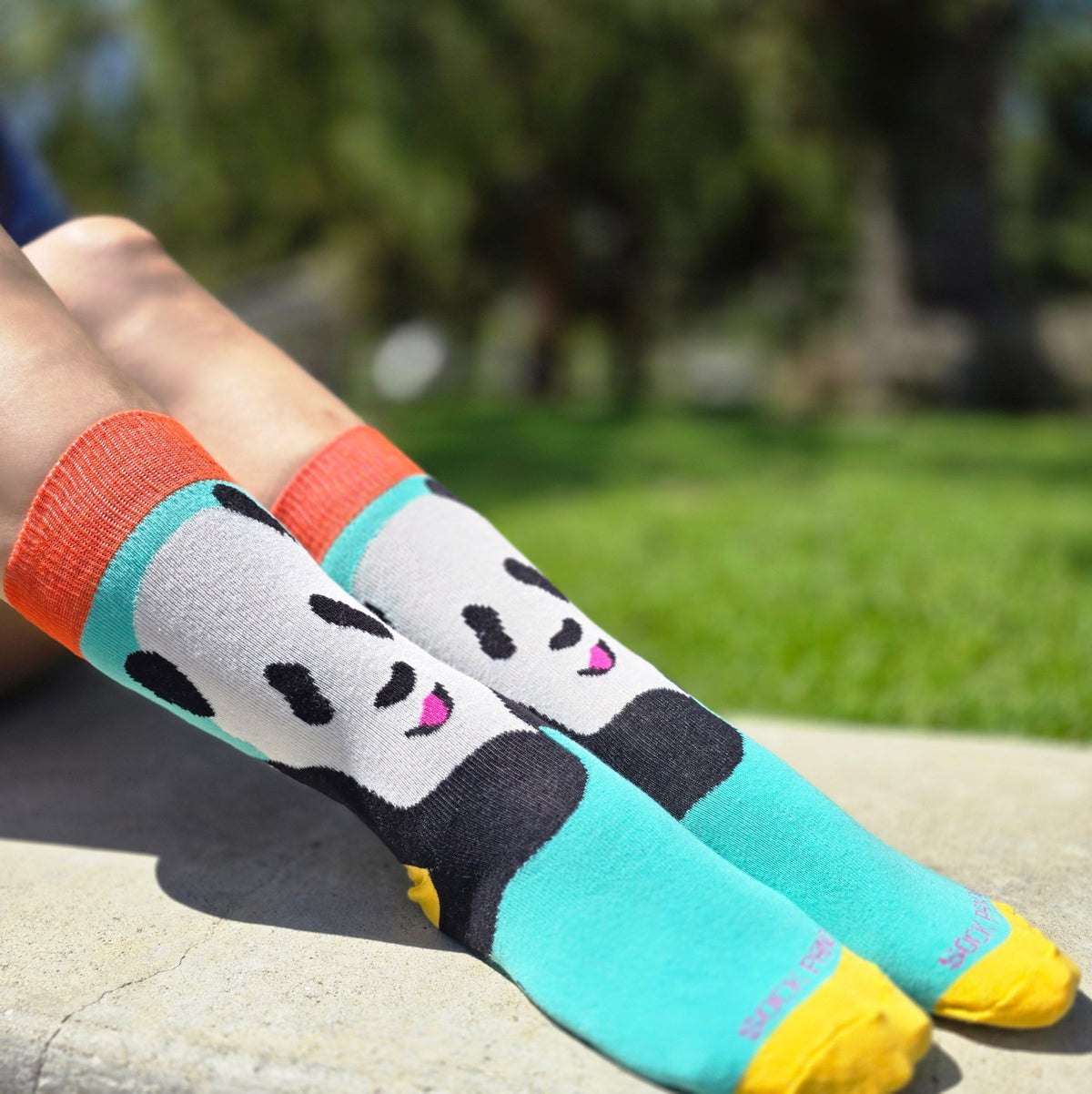 The Great Panda Socks from the Sock Panda (Adult Small) - Teal, Teal Panda-Sm