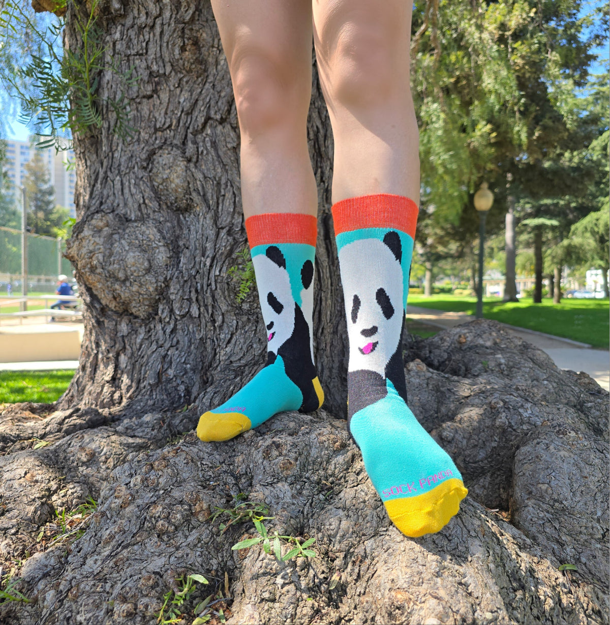 The Great Panda Socks from the Sock Panda (Adult Small) - Teal, Teal Panda-Sm