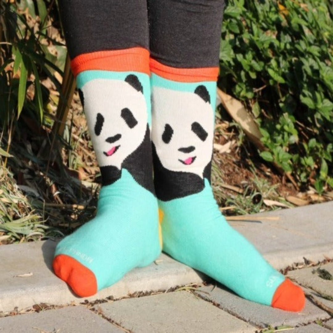The Great Panda Socks from the Sock Panda (Teal), Teal Panda-LG
