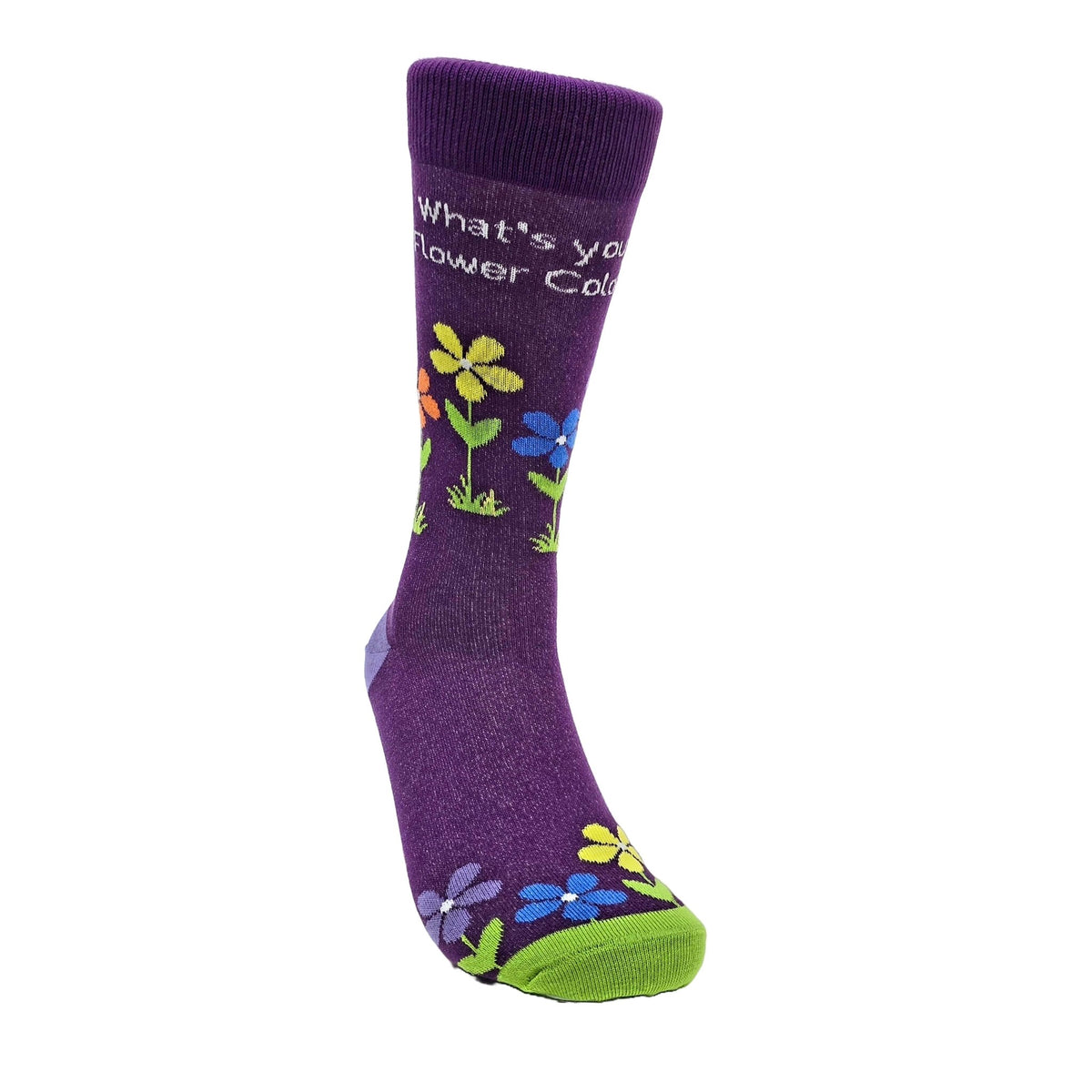 What's Your Flower Color Socks from the Sock Panda, WhatColorLg