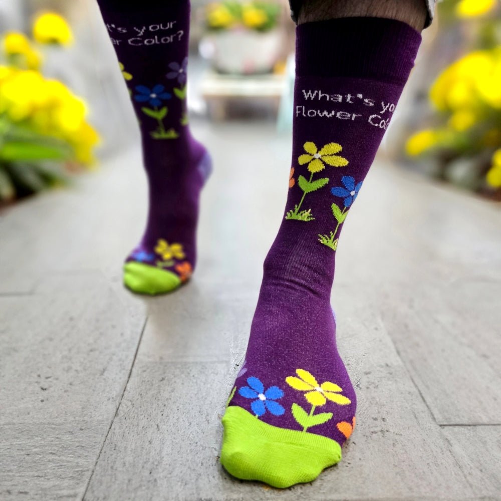 What's Your Flower Color Socks from the Sock Panda, WhatColorLg