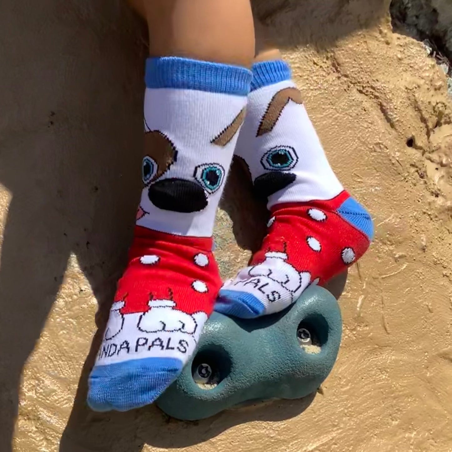 Jonathan the Dog Socks from the Sock Panda (Age 3-5)