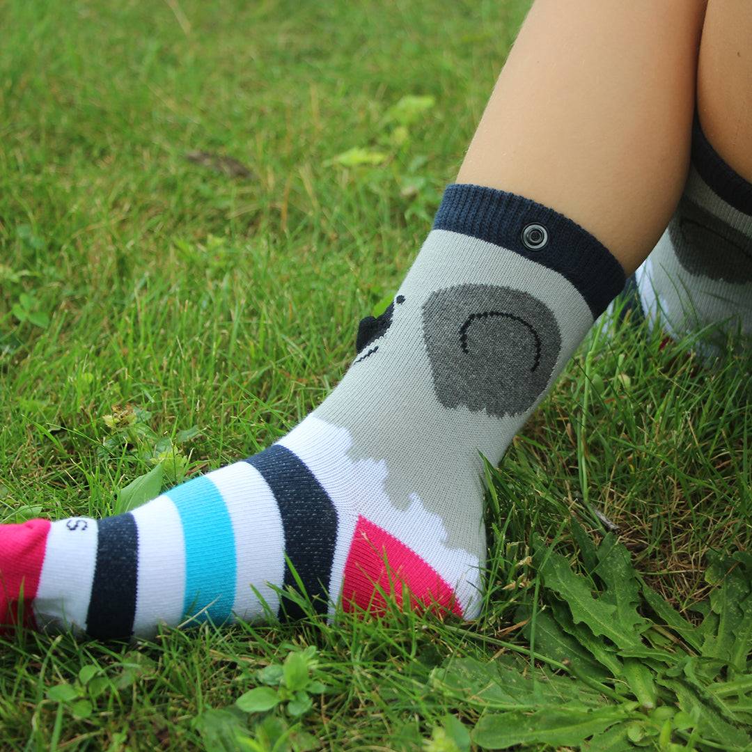 Cute Koala Socks (Ages 3-7) from the Sock Panda