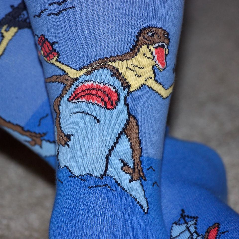 Dinosaur and Shark Socks from the Sock Panda (Adult Large - Men's Shoe Sizes 8-12), Dino/Shark