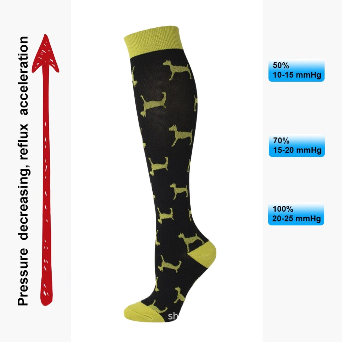 Dog Pattern Knee High - Black (Compression Socks), DogCompSM