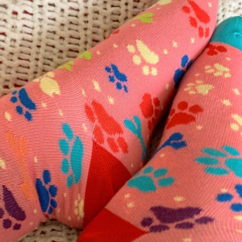 Dog Paws and Bones Patterned Socks from the Sock Panda, Dog Bones