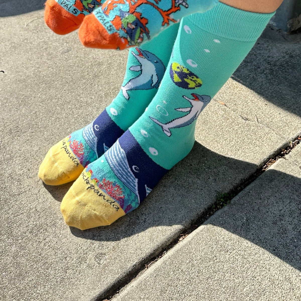 Dolphins and the Earth Socks from the Sock Panda (Adult Medium - Women's Shoe Sizes 5-10), DolphinEarthMd
