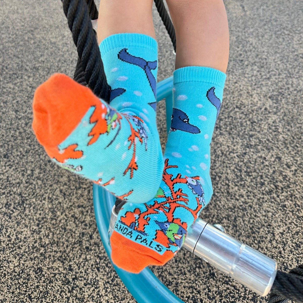 Dolphins in the Ocean Socks from the Sock Panda (Ages 3-7), DolphPalMd