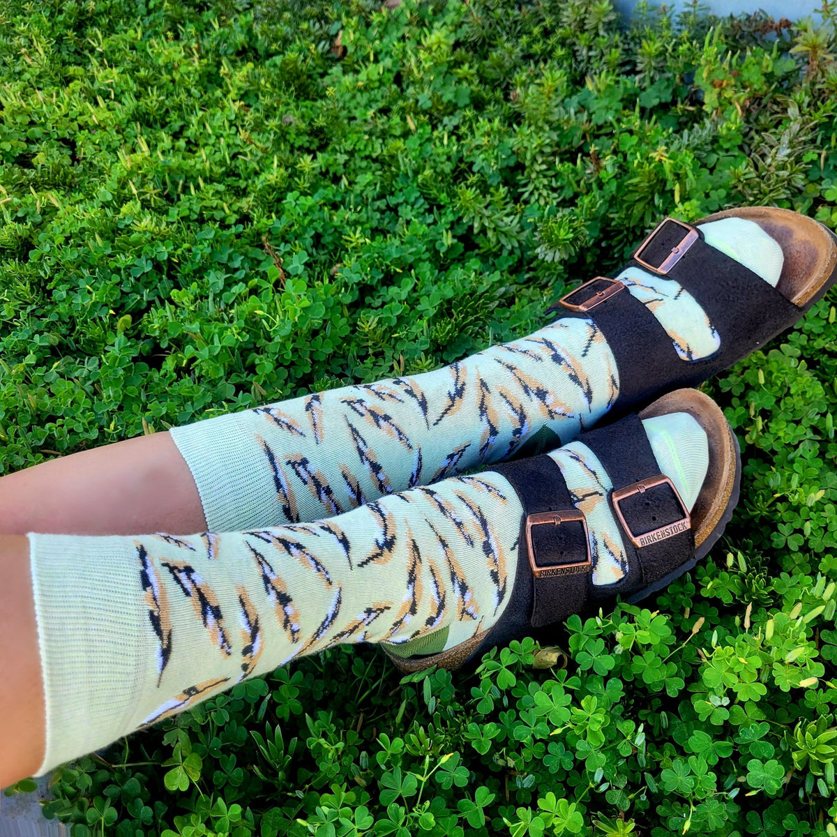 Feather Pattern Socks from the Sock Panda (Adult Medium - Women's Shoe Sizes 5-10), Green-Feather