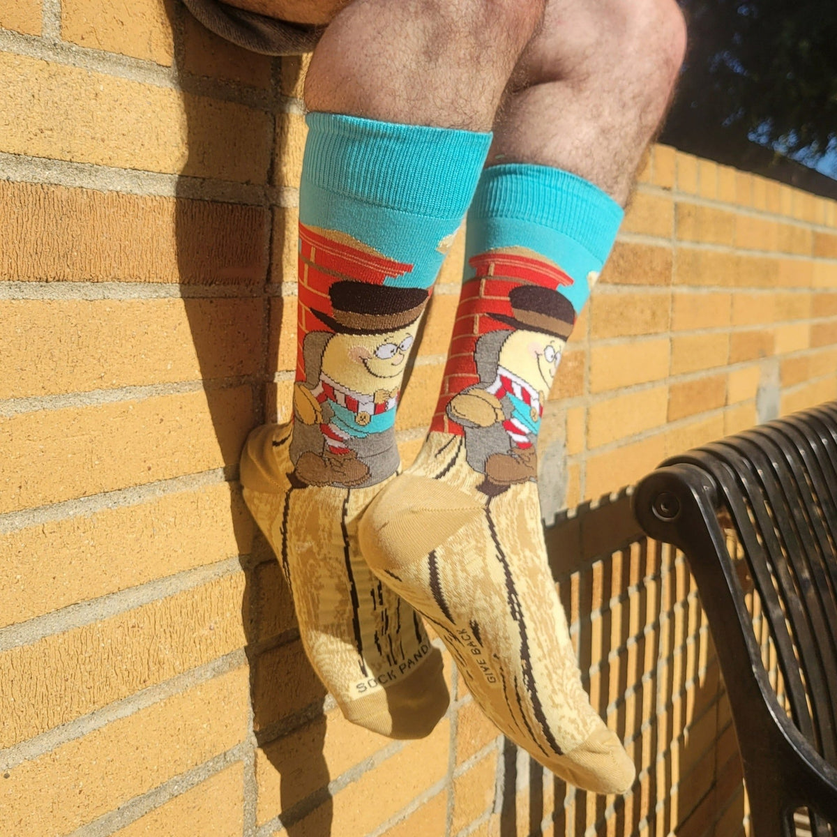Humpty Dumpty Sits in a Chair Socks from the Sock Panda (Adult Large - Men's Shoe Sizes 8-12), Humpty