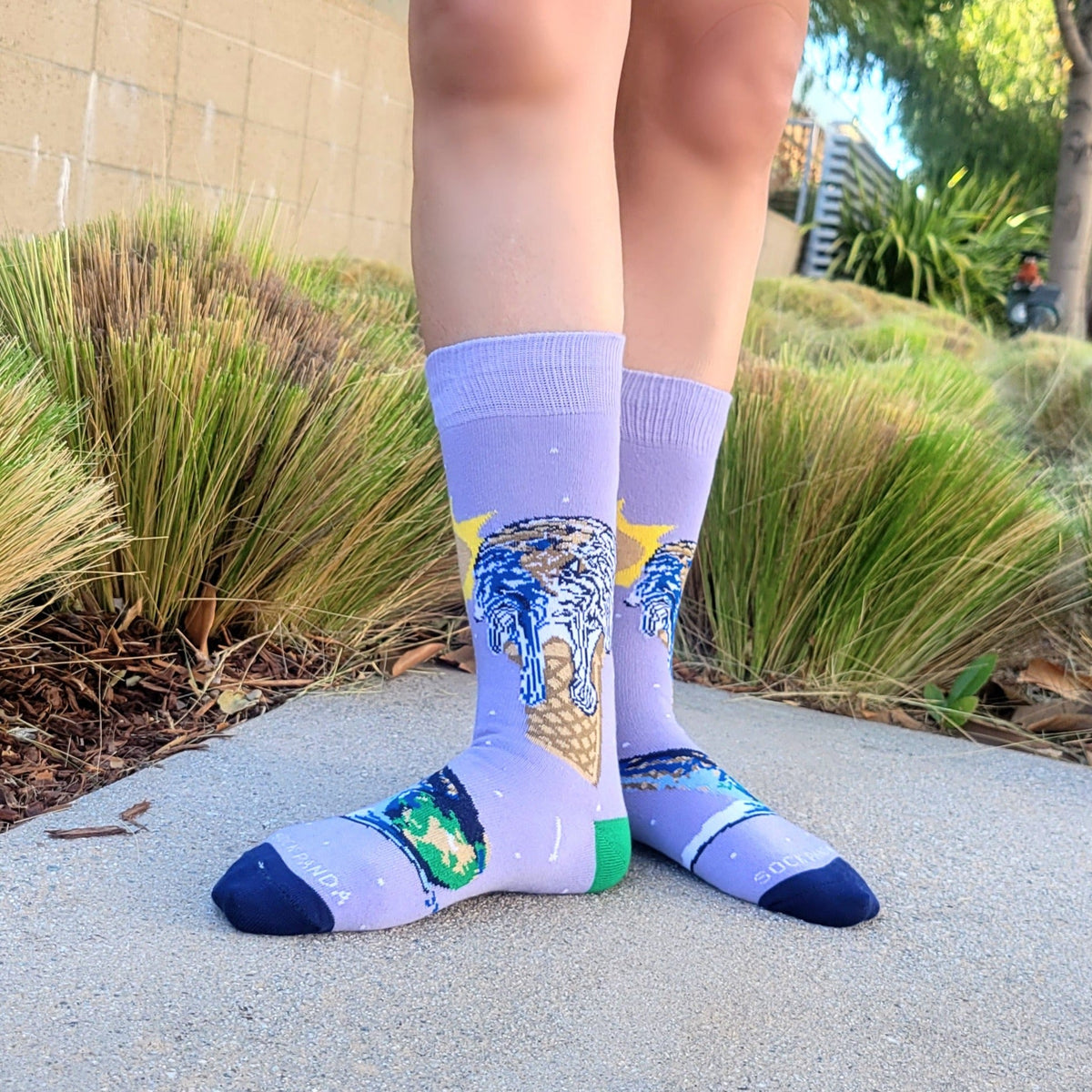 Ice Cream Cone Earth Socks from the Sock Panda (Adult Small - Shoe Sizes 2-5), IceCream-Earth-S