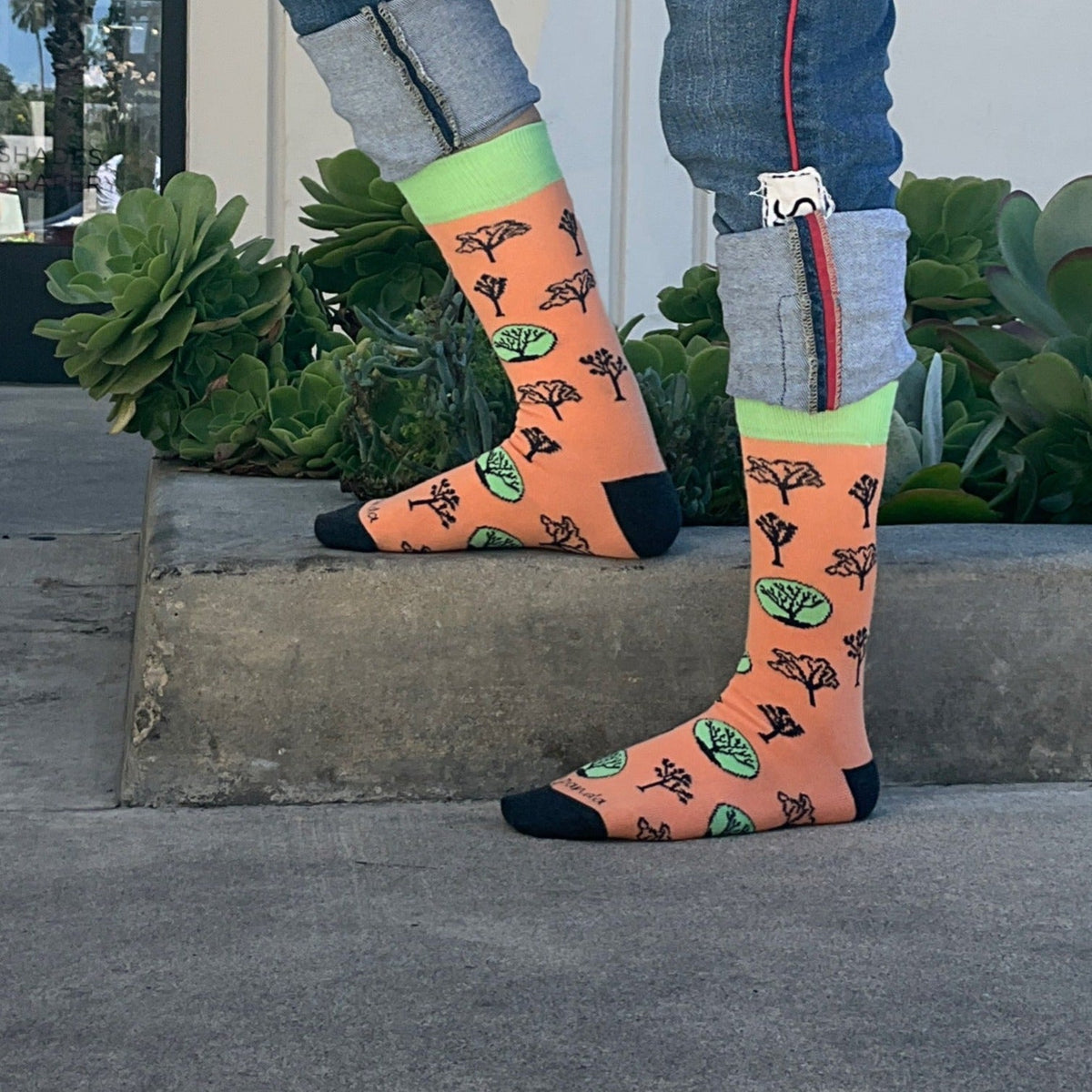 Joshua Tree Pattern Socks from the Sock Panda (Adult Medium - Women's Shoe Sizes 5-10), JoshuaTree-Med