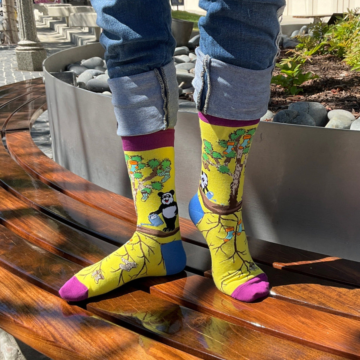 Pandas Watering the Sock Joshua Tree from the Sock Panda (Adult Medium - Women's Shoe Sizes 5-10), JoshuaSocksMd