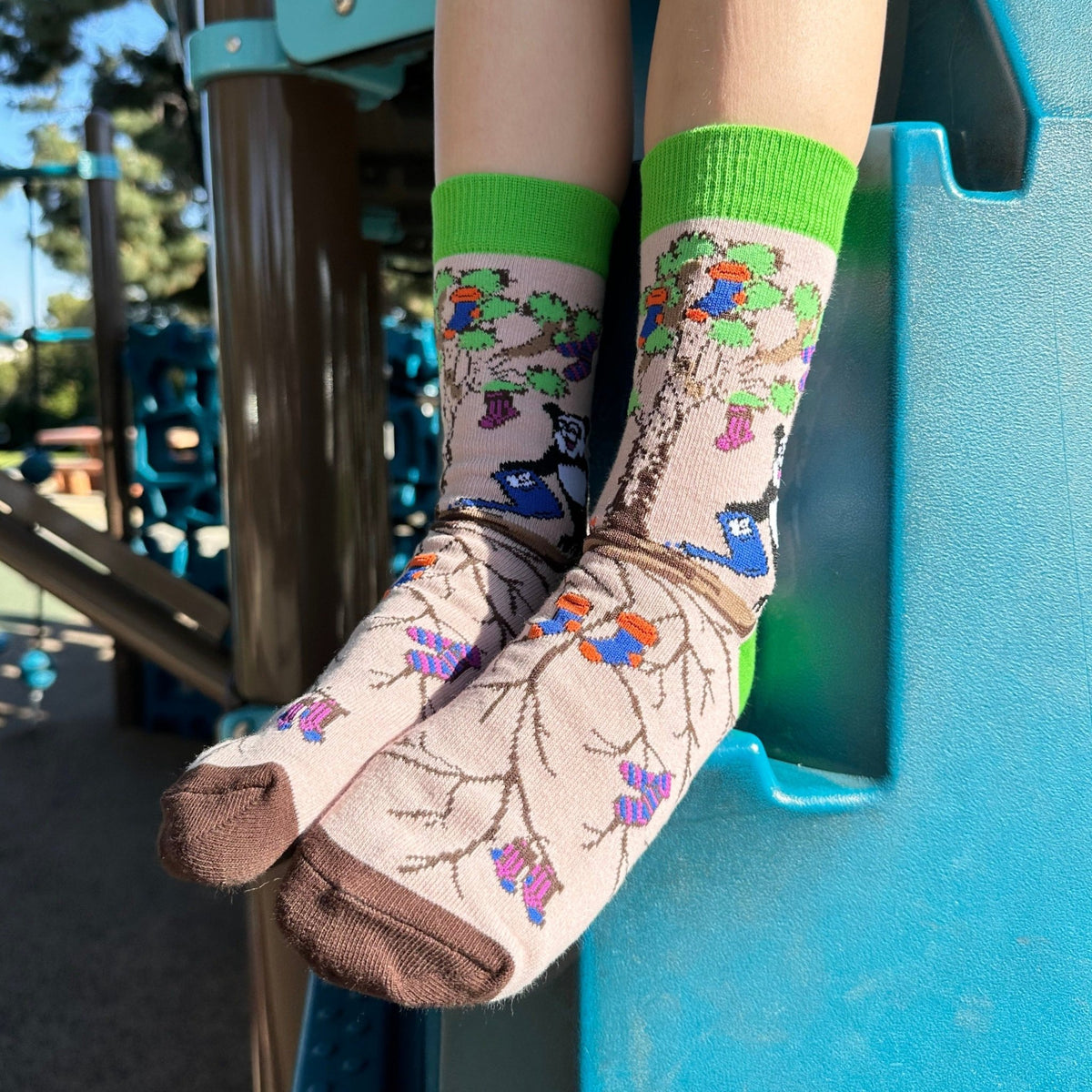 Pandas Watering the Sock Joshua Tree from the Sock Panda (Adult Small - Shoe Sizes 2-5), JoshuaSocksSm