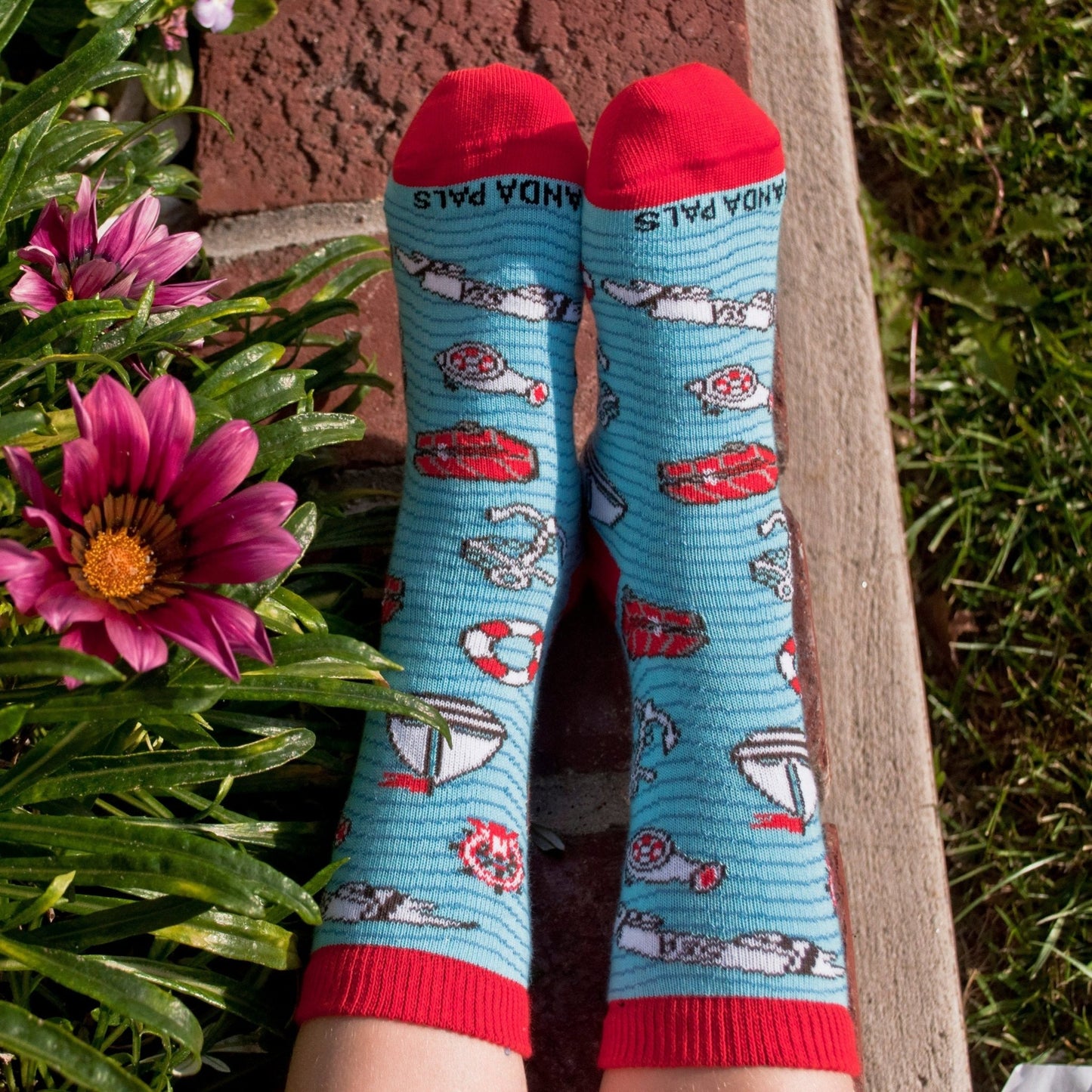 Sea Adventure Socks (Two Colors) - Kids Socks (Ages 3 - 7)