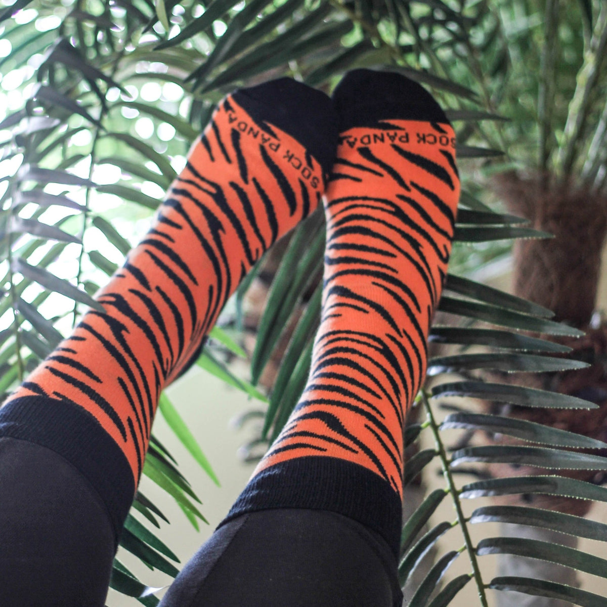 Tiger Striped Socks from the Sock Panda (Adult Medium - Women's Shoe Sizes 5-10), Tiger Stripe