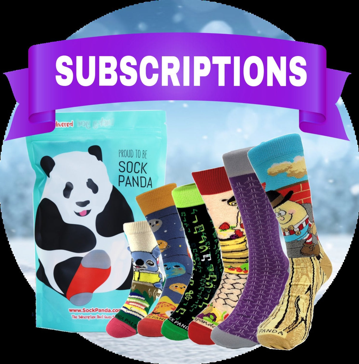 Sock Panda Subscription from the Sock Panda