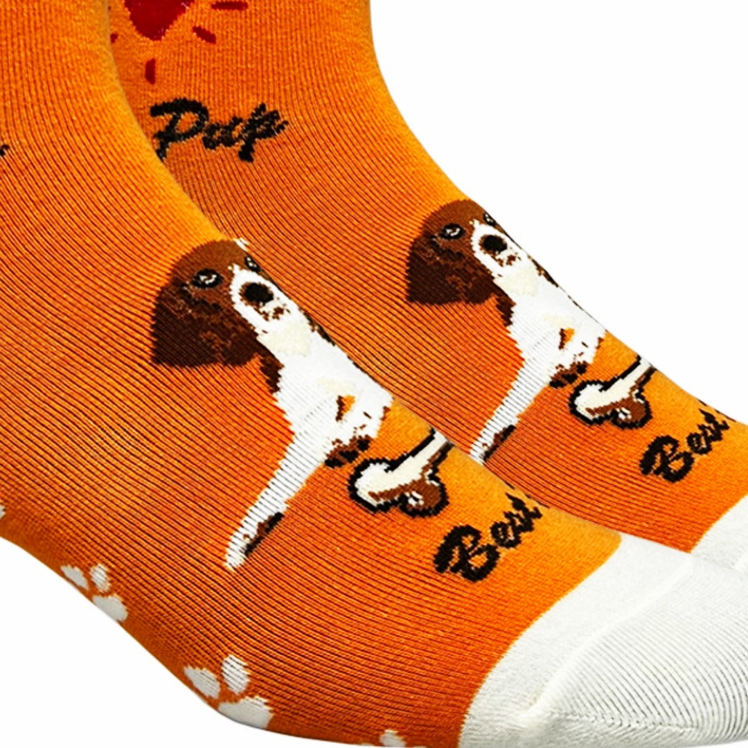 Beagle Dog Socks (Adult Medium - Women's Shoe Sizes 5-10)