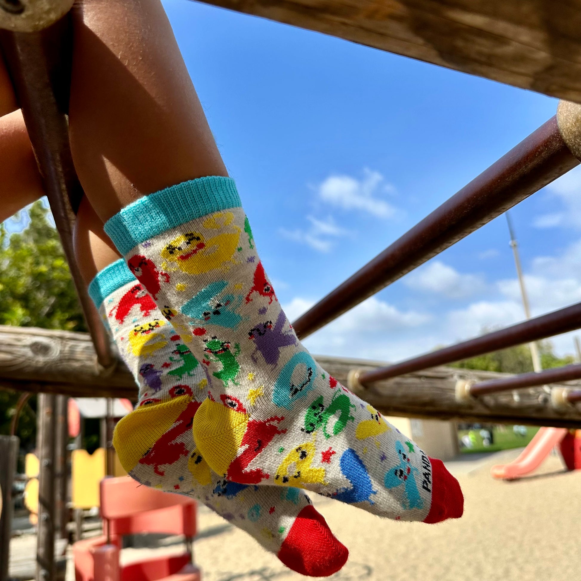 Alphabet Letters Come Alive Socks from the Sock Panda (Ages 3-7)