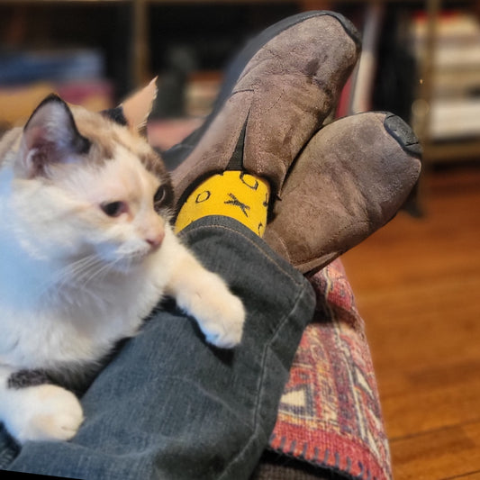 Hugs and Kisses (xoxo) Love Patterned Socks from the Sock Panda