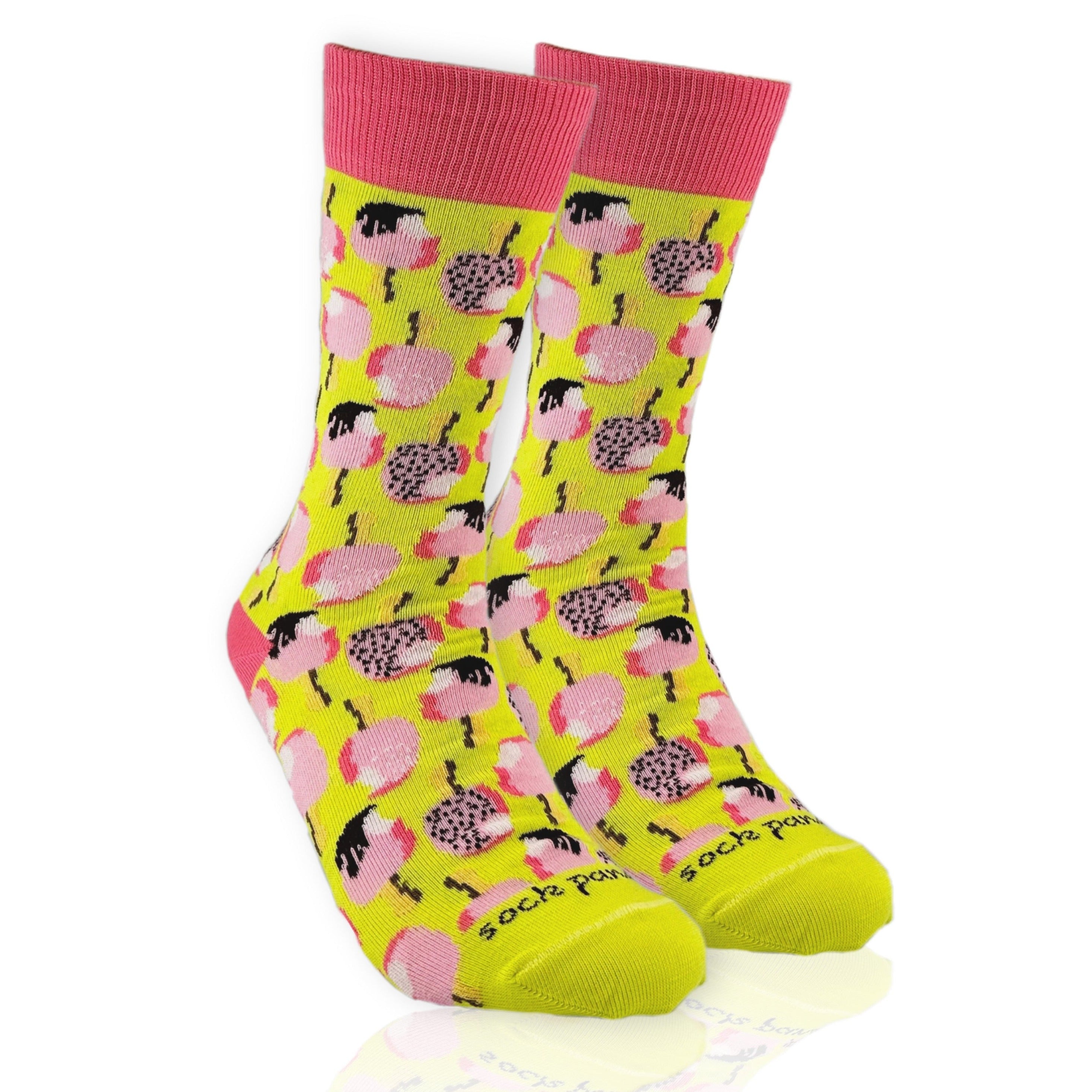 Ice Cream Popsicle Socks from the Sock Panda (Adult Medium - Women's Shoe Sizes 5-10)