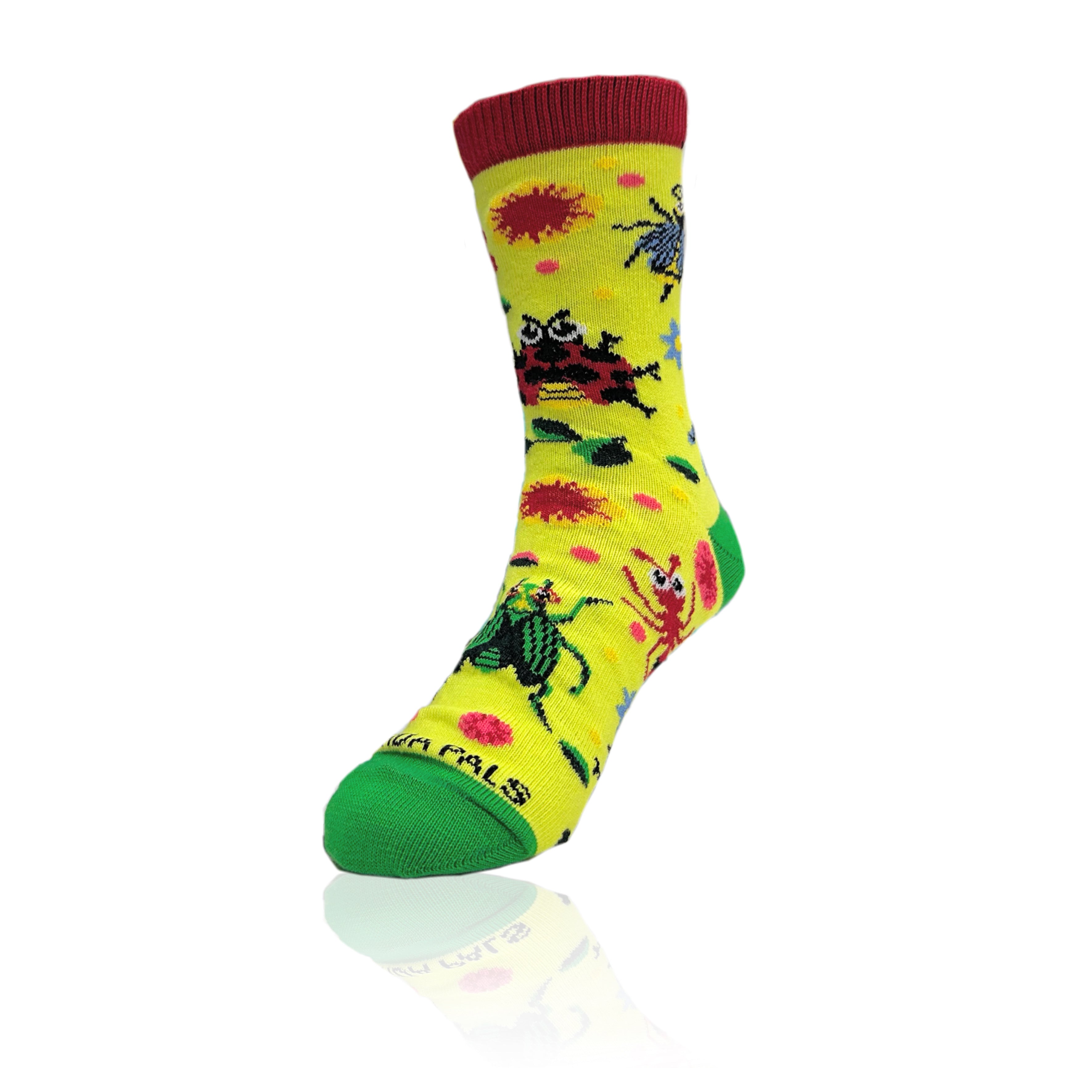 Garden Insect Party Socks from the Sock Panda (Ages 3-7)