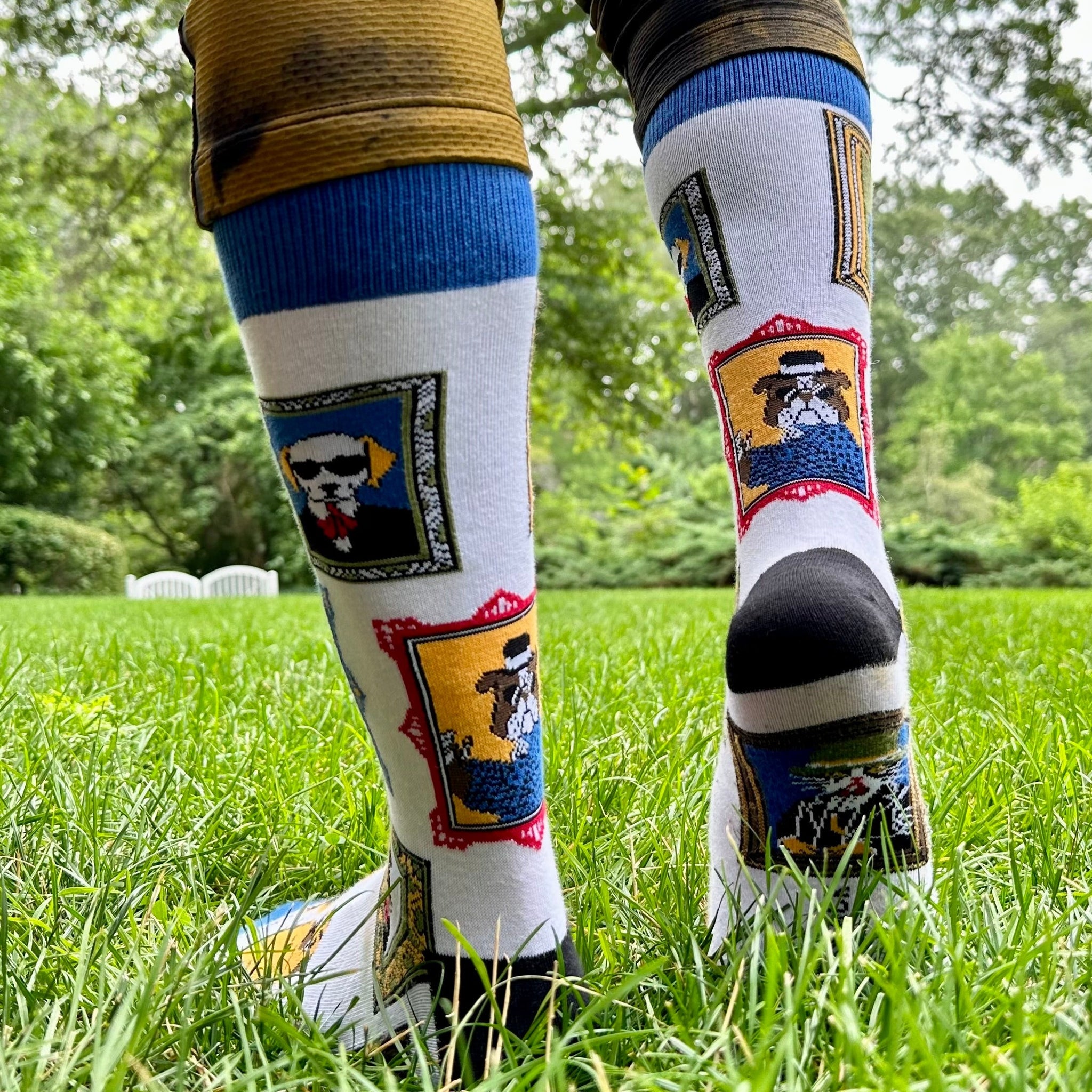 Wall Art Museum Dogs and Cats Socks (Adult Large - Men's Shoe Sizes 8-12)