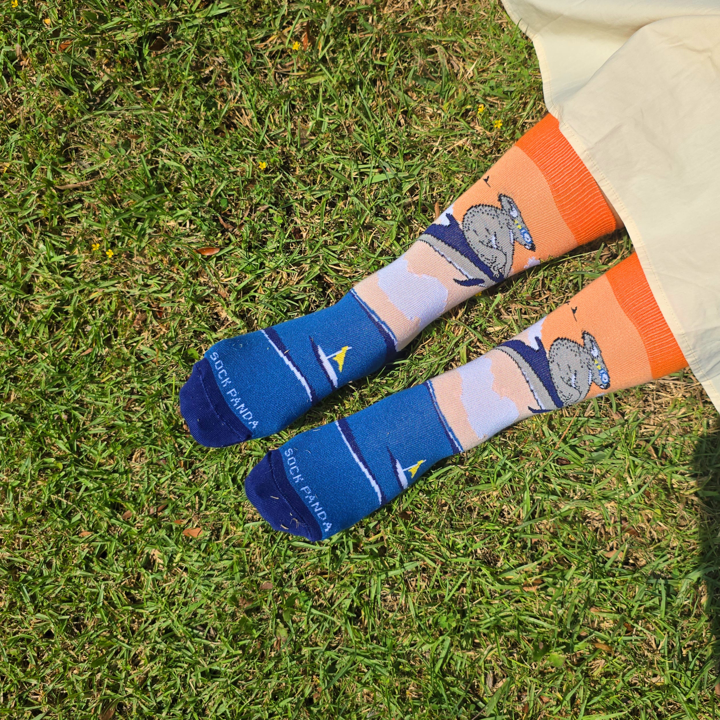 Koala Riding a Dolphin Socks from the Sock Panda (Adult Small -  Shoe Sizes 2-5)