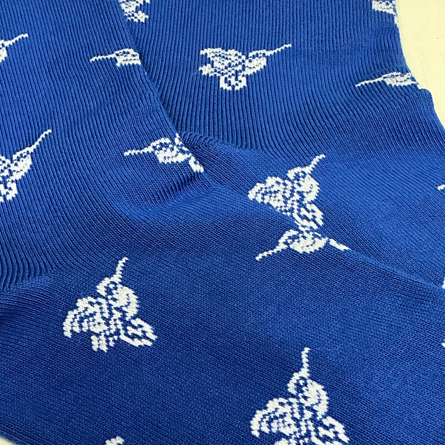 Hummingbird Socks from the Sock Panda (Adult Medium - Women's Shoe Sizes 5-10)